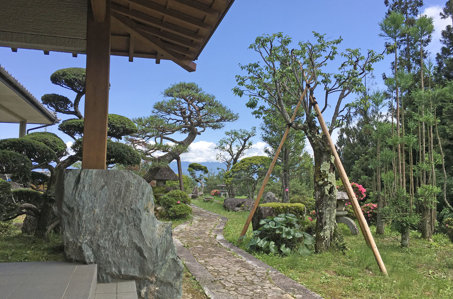 青々しい庭木の手入れ 庭のことなら赤松庵 せきしょうあん